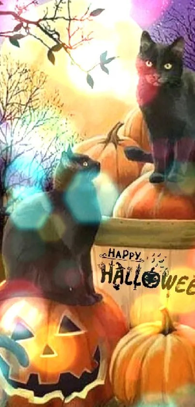 Halloween scene with black cats and pumpkins under the full moon.