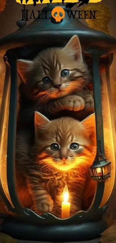 Halloween kittens in a glowing lantern with festive decorations.
