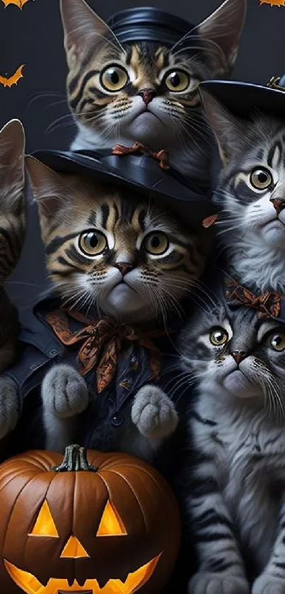 Cute kittens in Halloween costumes with pumpkins and bats.