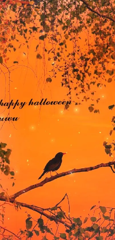 Raven on a branch with orange Halloween sunset background.