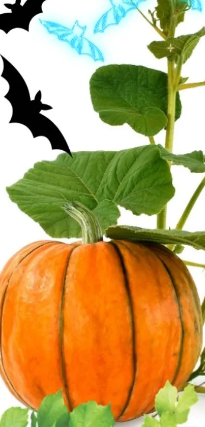 Halloween wallpaper with pumpkin and bats featuring green leaves.