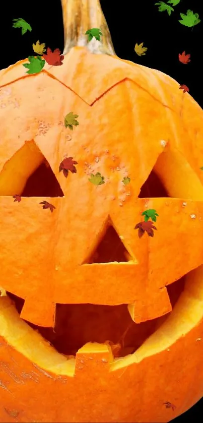 Carved Halloween pumpkin with autumn leaves on dark background.