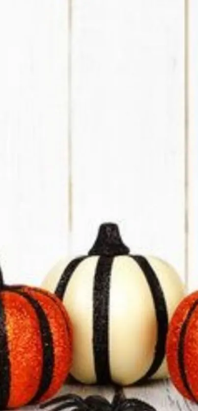 Festive Halloween pumpkins with spider on wooden background.