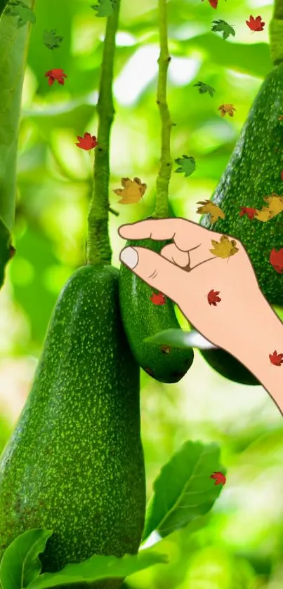 Avocado pear 🍐  Live Wallpaper