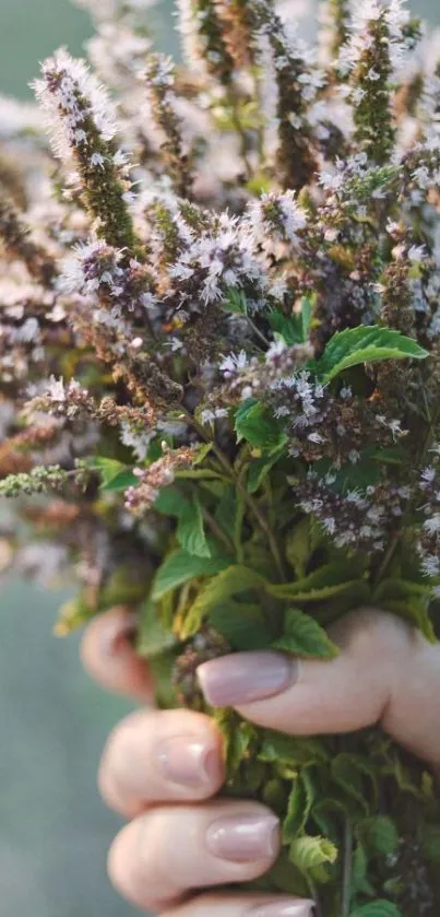 A hand holding a beautiful bunch of wildflowers against a blurred natural background.