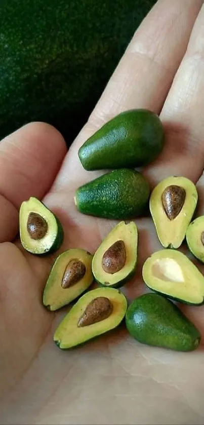 A handful of mini avocados on a backdrop, showcasing vibrant green hues.