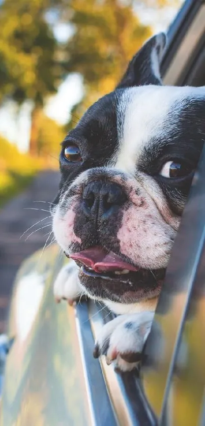 A happy dog enjoying a car ride with nature scenery in the background.