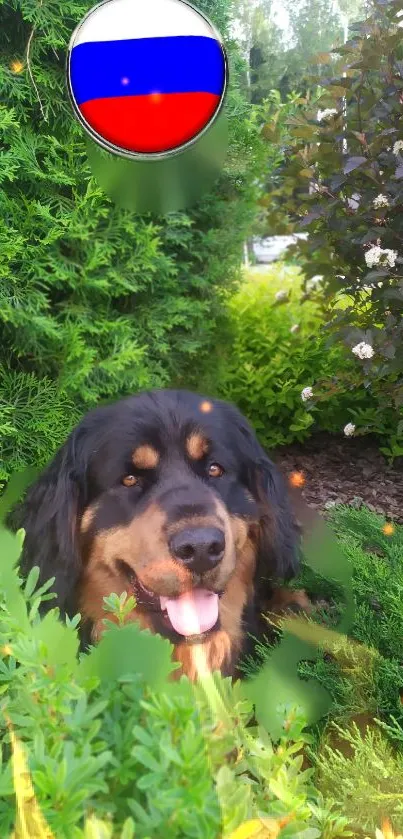 Happy dog among lush green garden and flag icon.