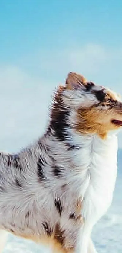 Joyful dog in snowy landscape under a serene sky.