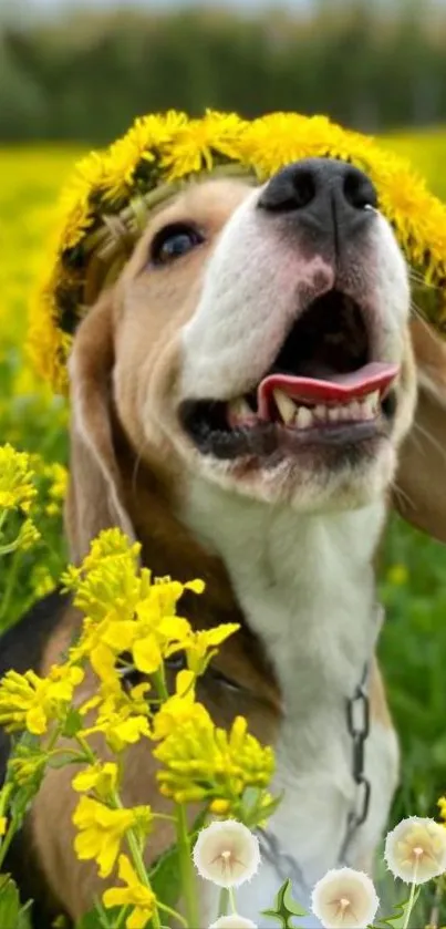 Joyful dog with flower crown in yellow field.