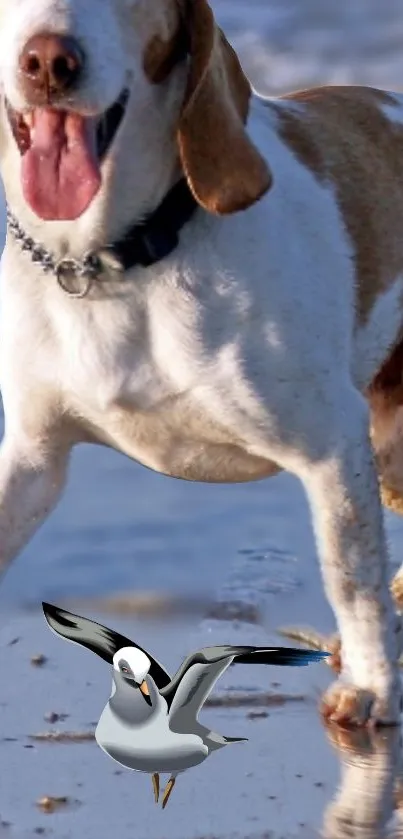 Dog joyfully running on a beach with a seagull nearby, vibrant scene.