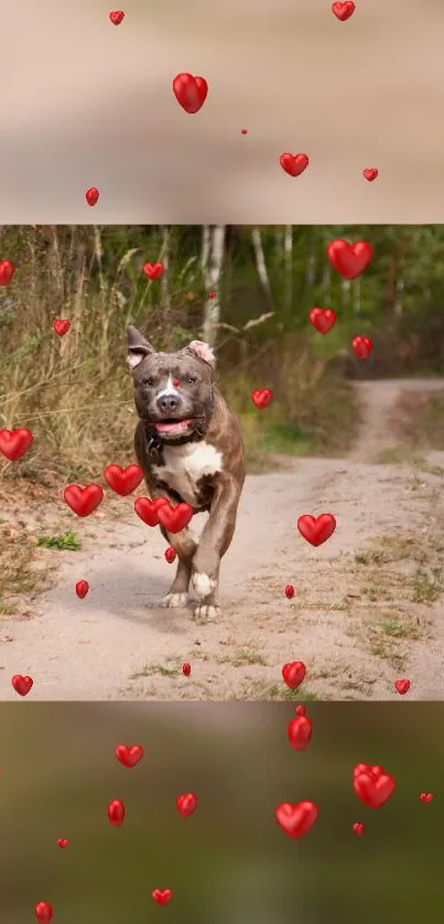 Joyful dog running with floating red hearts in a forest setting wallpaper.