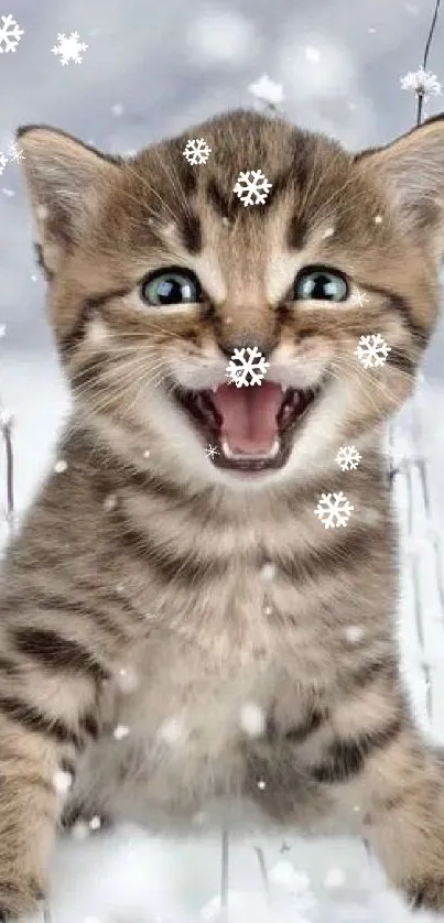 Adorable kitten playing in a snowy field, bringing warmth to a winter scene.