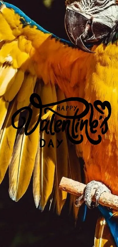 Yellow parrot Valentine's Day wallpaper with vibrant blue and gold hues.