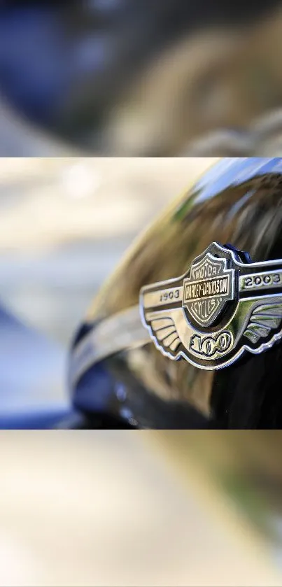 Harley Davidson emblem on a glossy motorcycle tank.