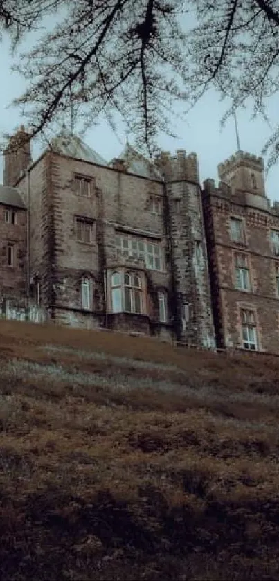 Dark haunted castle surrounded by trees at night.