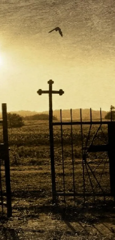 Eerie cemetery scene with skeleton at sunset.