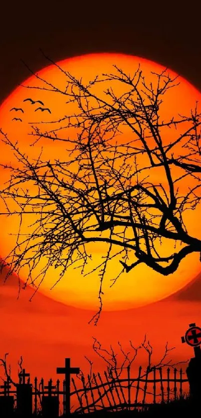 Silhouette of tree and graveyard against a vibrant orange-red sunset.