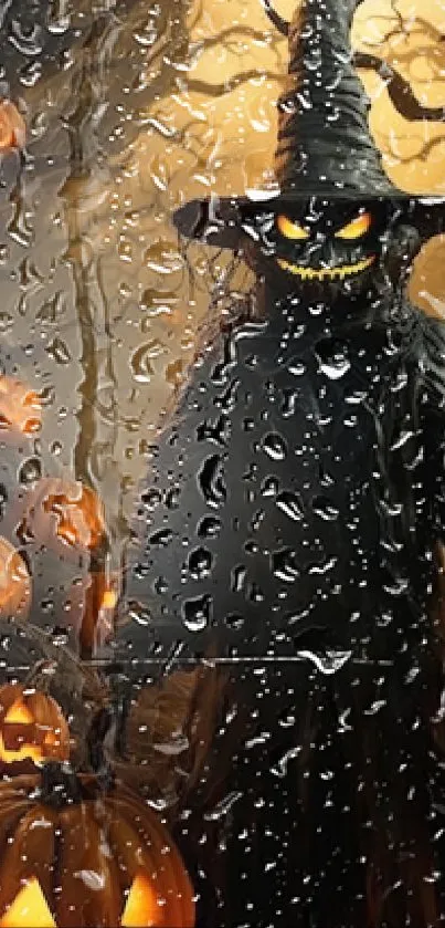 Halloween wallpaper with spooky witch and pumpkins under rain.