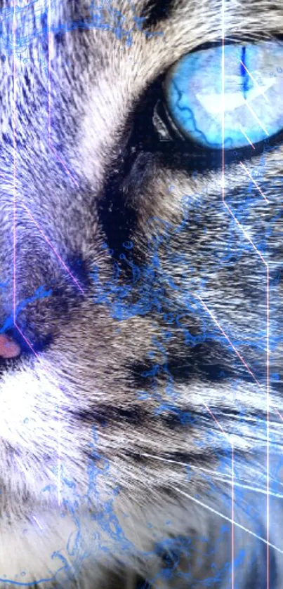 Water Within The Cat Live Wallpaper