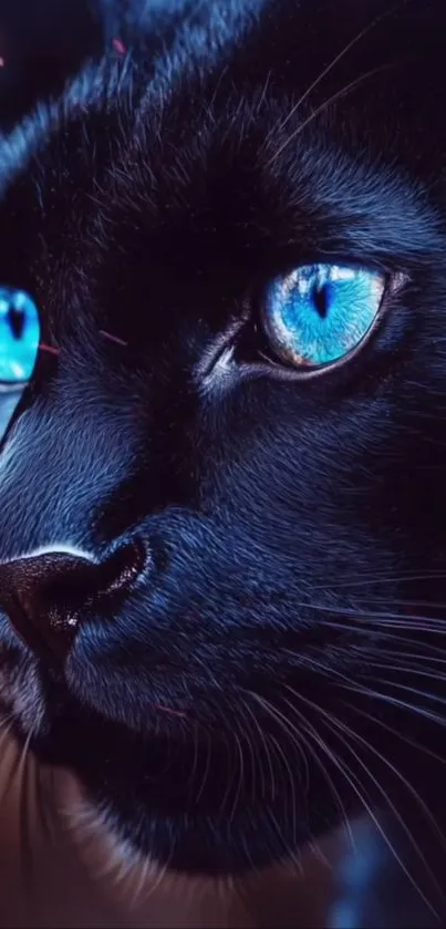 Head Cat Eye Live Wallpaper