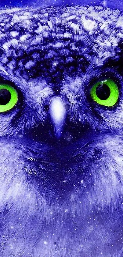 supper owl Live Wallpaper