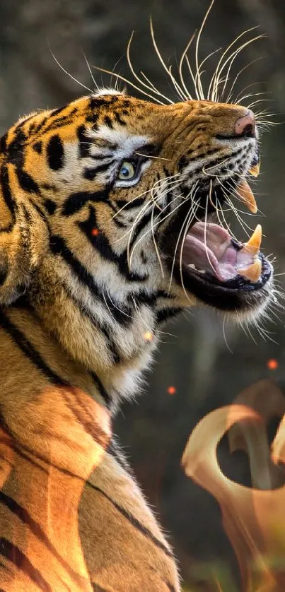 The fire Tiger Live Wallpaper