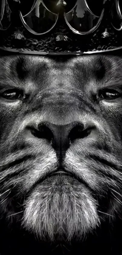 Head White Vertebrate Live Wallpaper