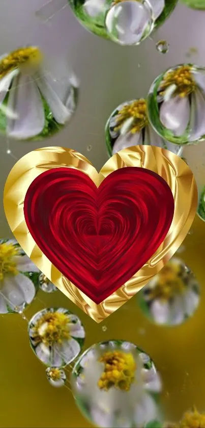 Golden red heart with daisy flowers in droplets.