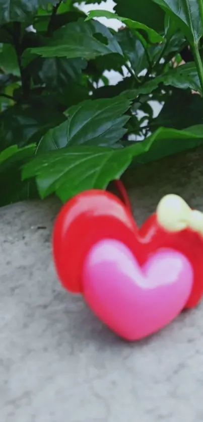 Pink and red heart decoration with green leaves in the background.