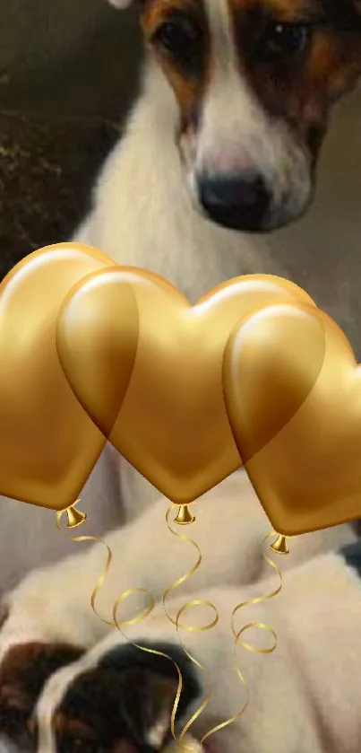 Wallpaper with golden heart balloons and dogs.