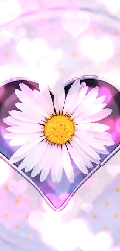 A heart-shaped daisy sits on a soft purple background, creating a calm and elegant look.