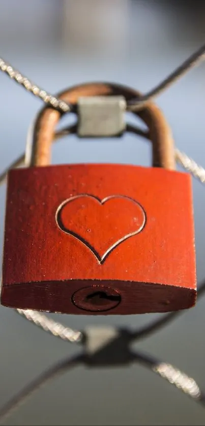 Heart engraved red padlock on metal netting.