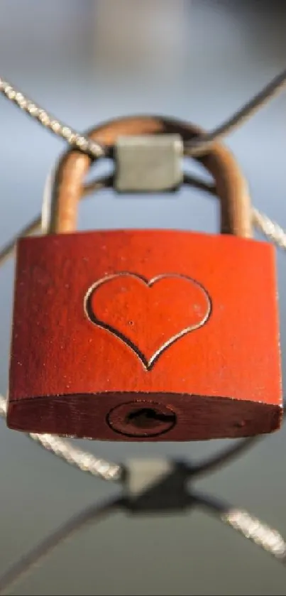 Red padlock with heart engraving on fence.