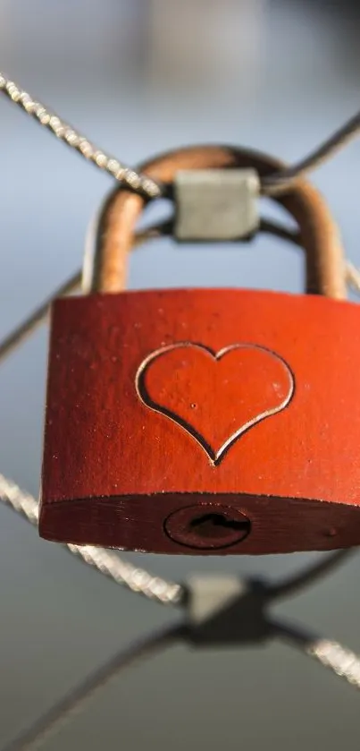 Red padlock with heart engraving on fence.