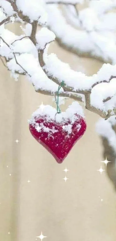 Red heart ornament on a snowy branch.