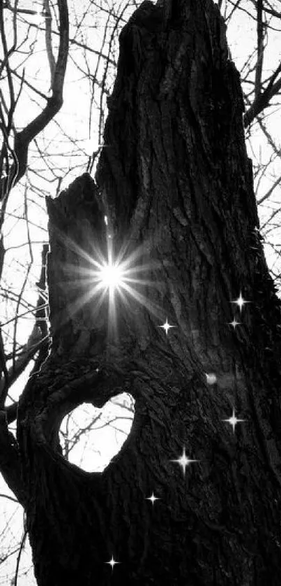 Heart-shaped silhouette in tree with sunburst in black and white.