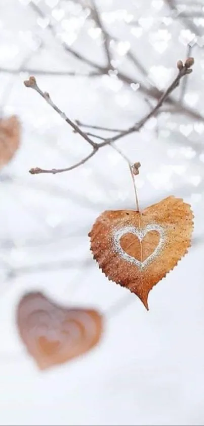 Heart-shaped leaves with frosty design on winter branches.