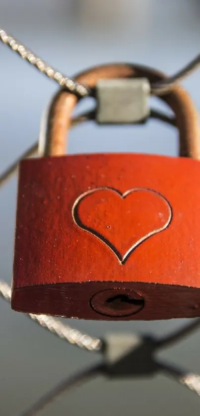 Red heart-shaped lock on metal fence wallpaper.