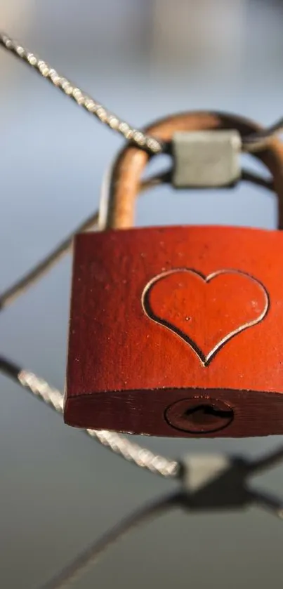 Heart lock on fence mobile wallpaper, symbol of love.