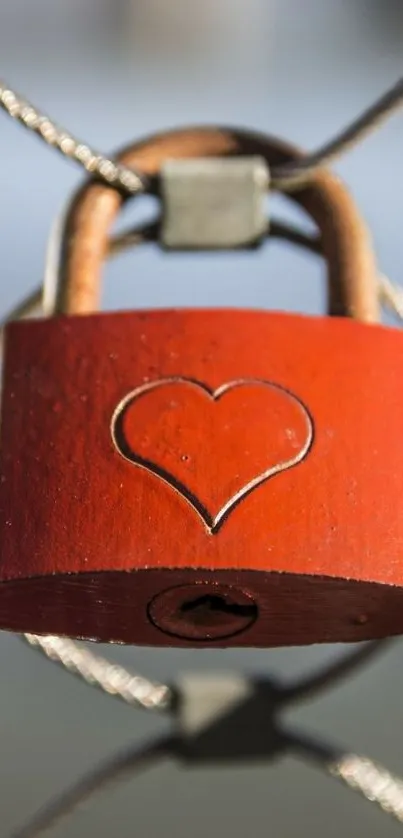 Red heart lock on wire fence wallpaper.