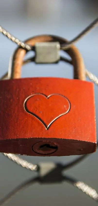 Heart-shaped padlock on wire fence, symbolizing love.