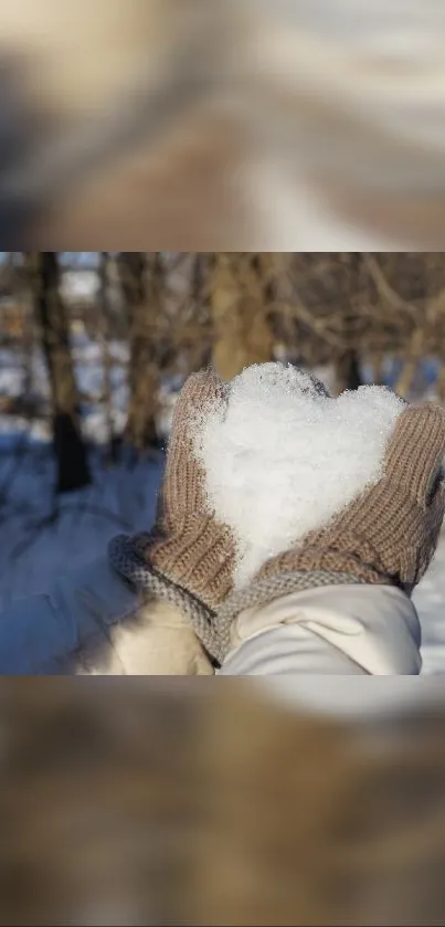 Warm gloved hands cradle snow with heart shape in winter forest.