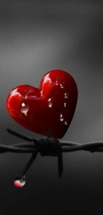 A red heart on barbed wire wallpaper with gray background.