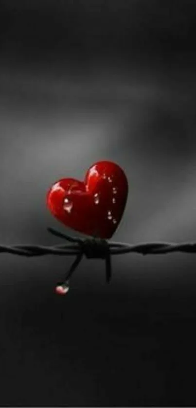 Red heart on barbed wire with dark background wallpaper.