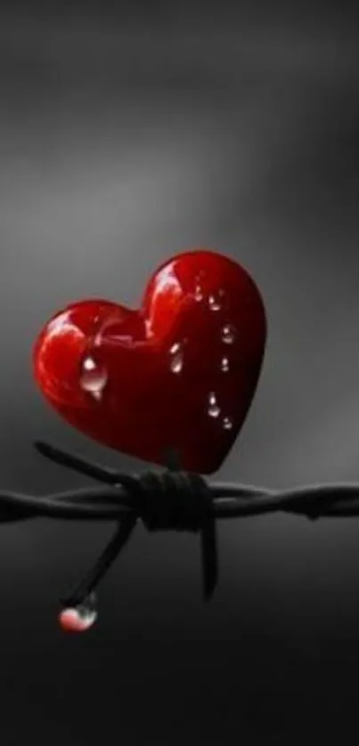 Red heart on barbed wire with dark background mobile wallpaper.