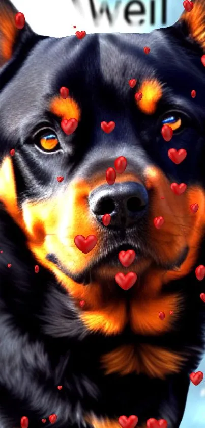 Rottweiler with floating red hearts on a mobile wallpaper.