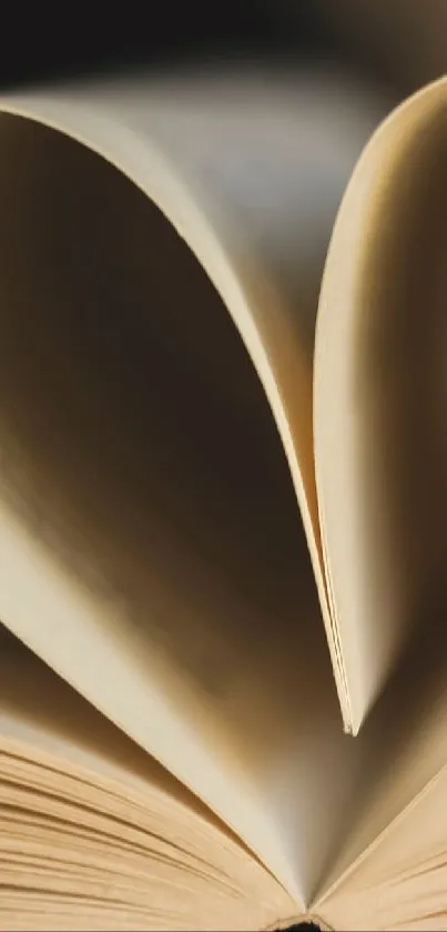 Heart-shaped book pages creating a romantic design on a beige background.