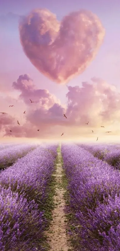 Heart-shaped cloud over lavender field at sunset.