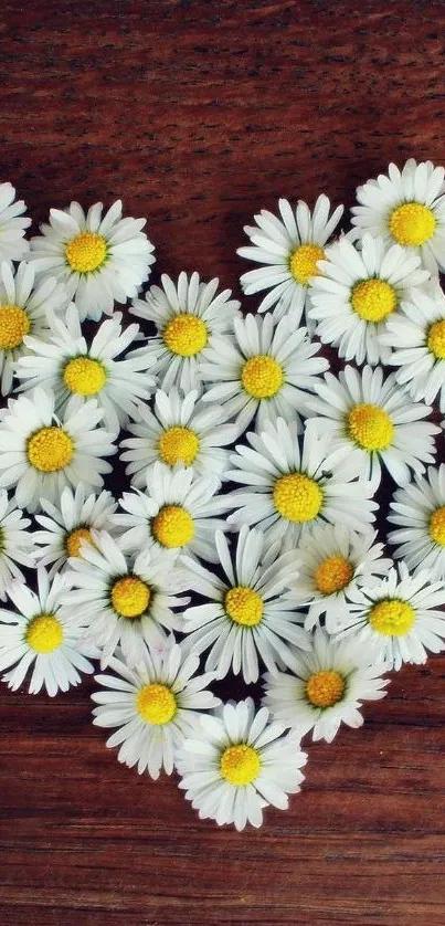 Heart-shaped daisy arrangement on wooden background.